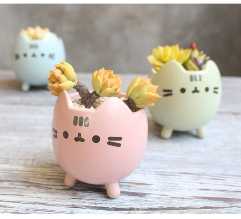 Ceramic Flower Pot Cute Cat Succulent