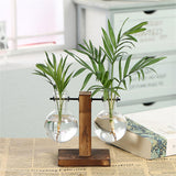 1~8PCS Terrarium Hydroponic Plant Vases