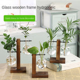 1~8PCS Terrarium Hydroponic Plant Vases